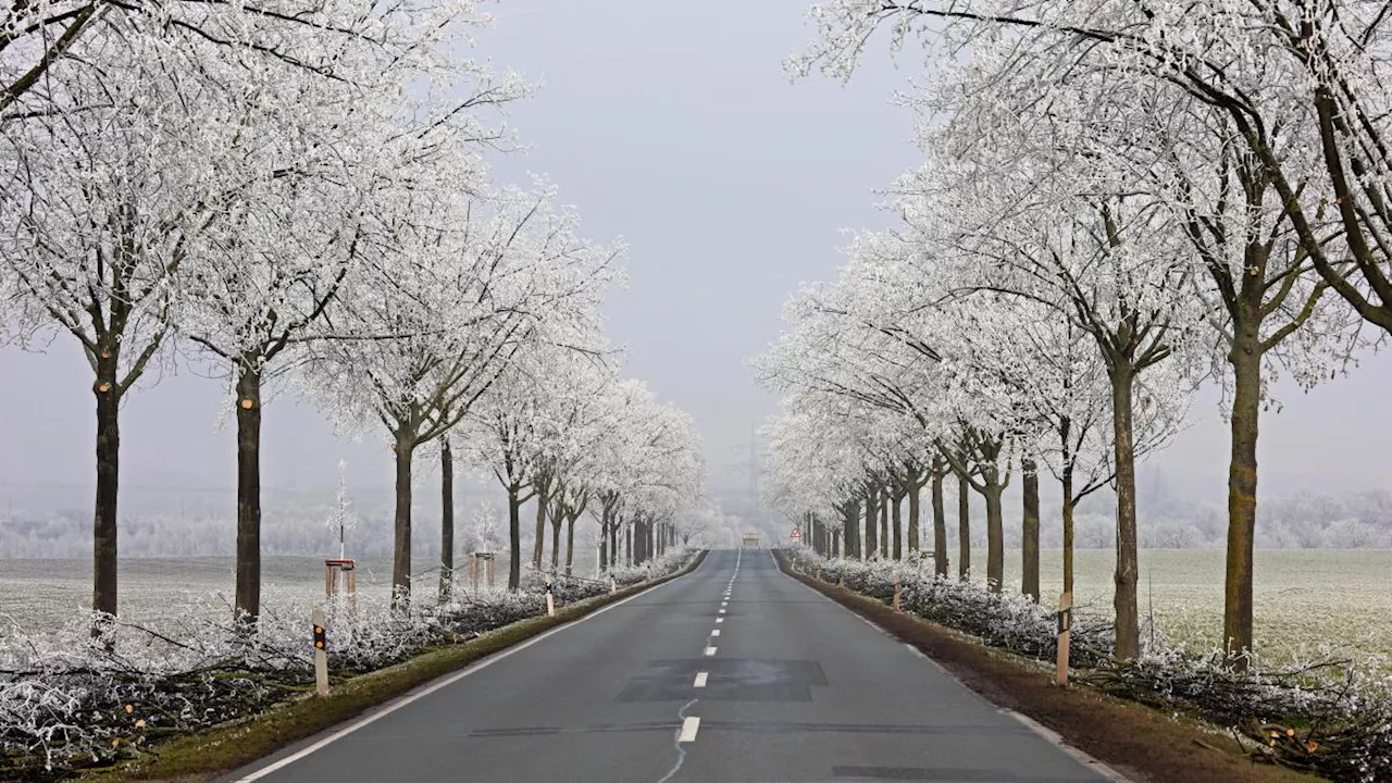 Bayern-Wetter im Ticker: Frostwarnung am Montag in Bayern