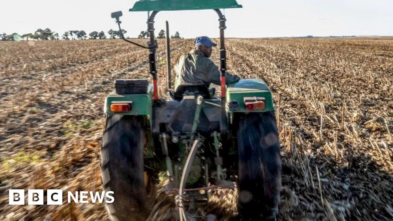 Trump Threatens to Cut Funding to South Africa Over Land Reform Law