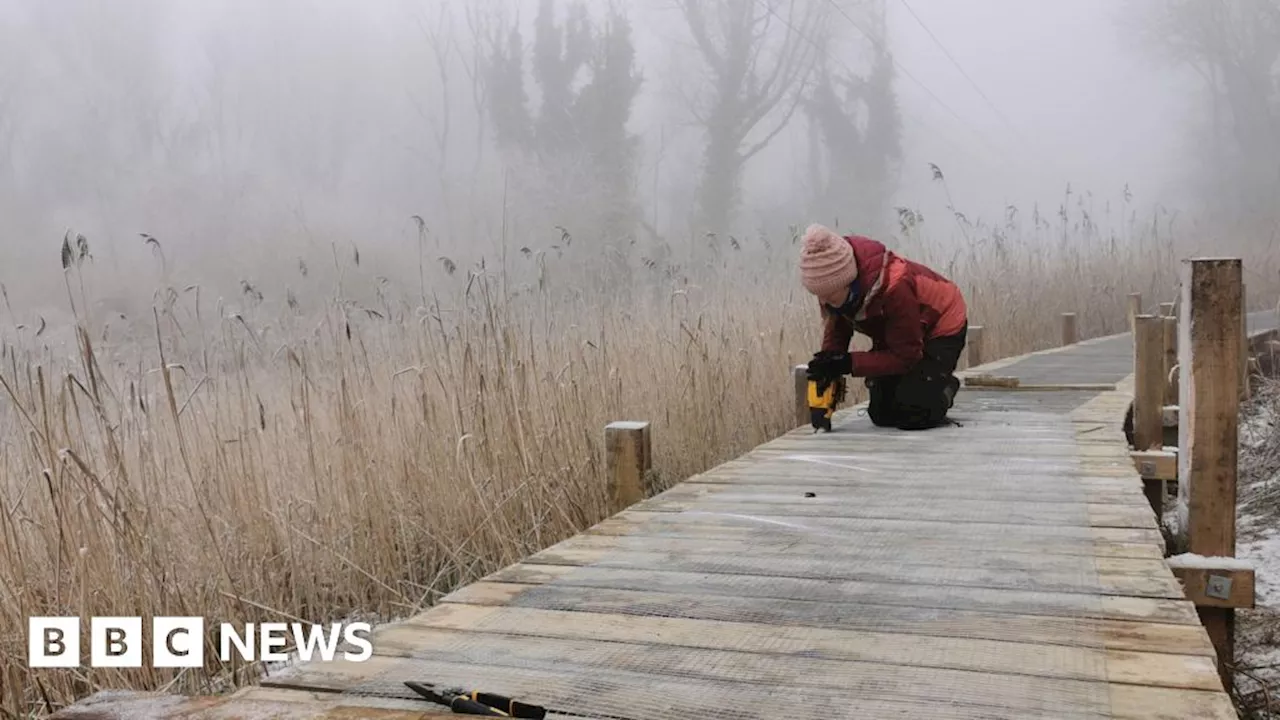 New Boardwalk Opens Up Rare Fen Landscape at Hinksey Heights Nature Reserve