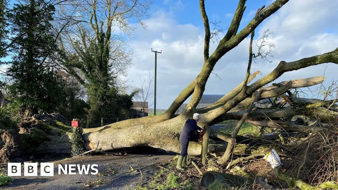 Storm Éowyn: Northern Ireland internet and phone repairs delayed for some