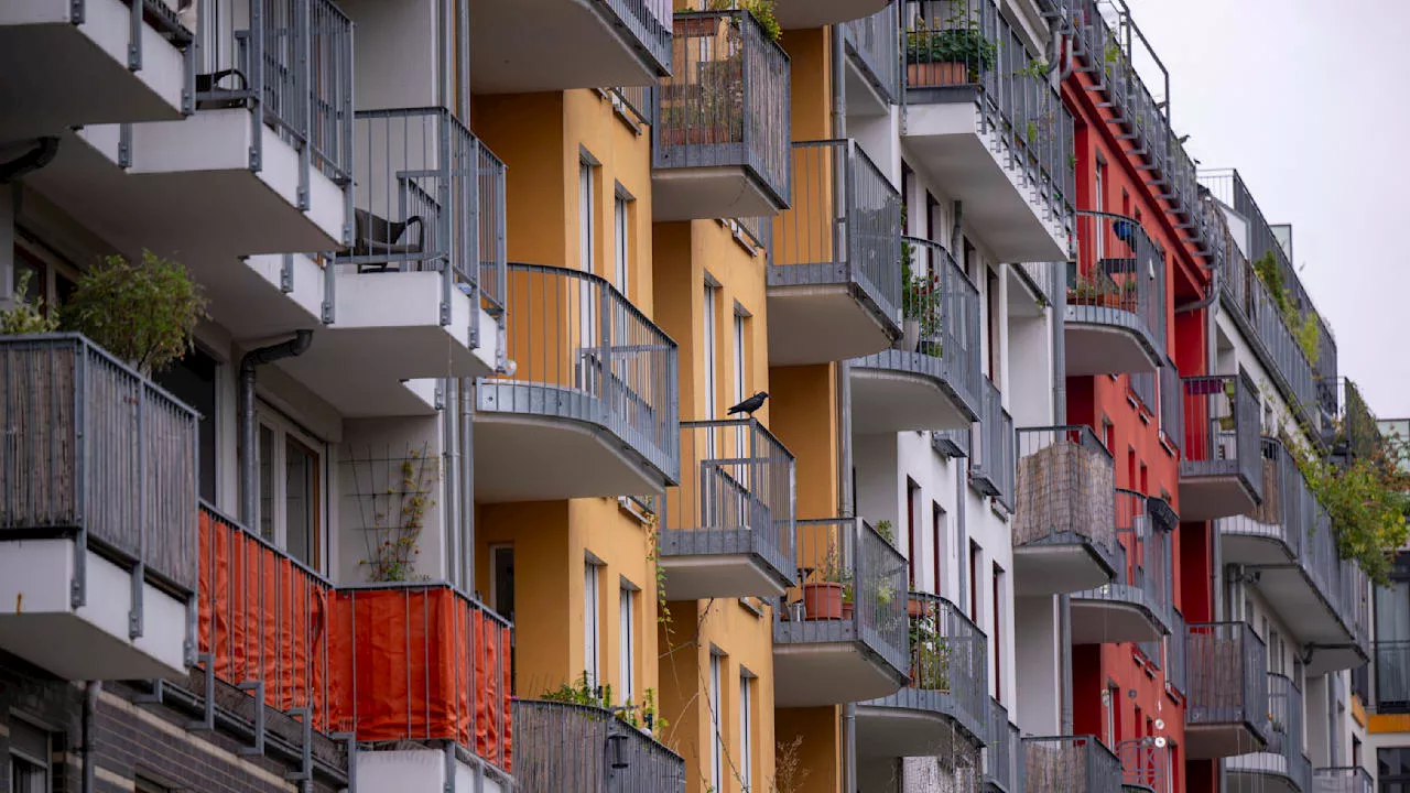 Wohnpreise stabil, Mieten steigen stark