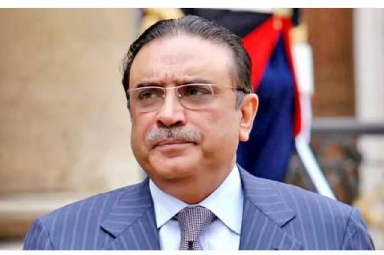 President Zardari to pay state visits to China from Feb 4