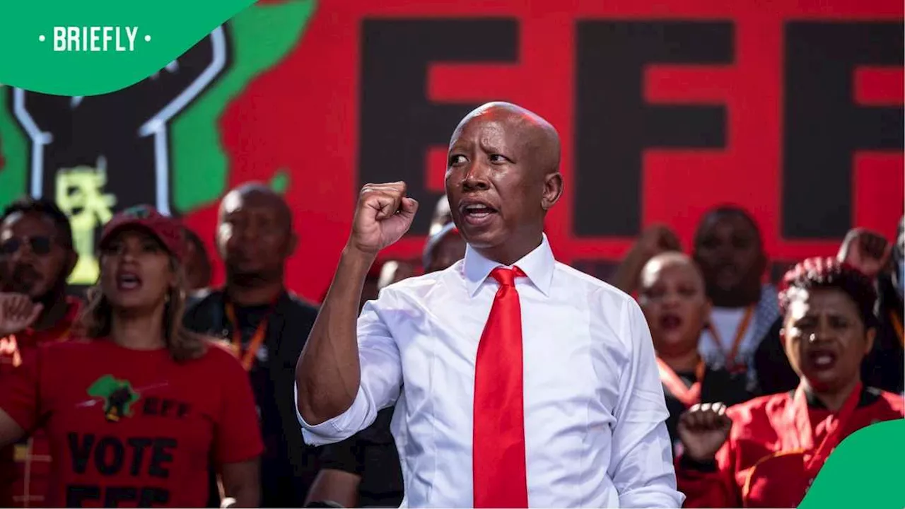 Julius Malema Defends Land Expropriation Following Donald Trump’s Threats, SA Trolls EFF Leader