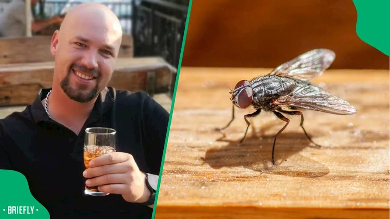 “Must Be Confused”: Man Shows Fly’s ‘Tongue’ Stuck to Frozen Chicken Pack, SA Pities Insect