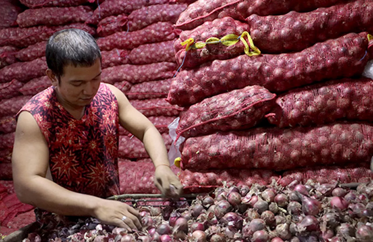 Philippines to Import Onions as Domestic Supply Dwindles