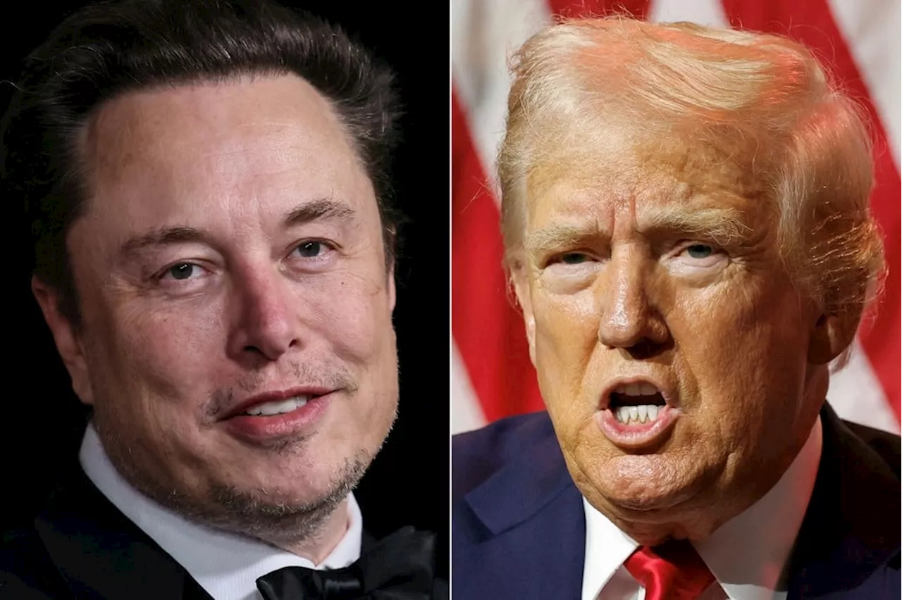 Trump e Musk Almejam o Fim da USAID