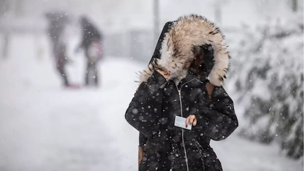 Alberta Braces for Continued Arctic Blast