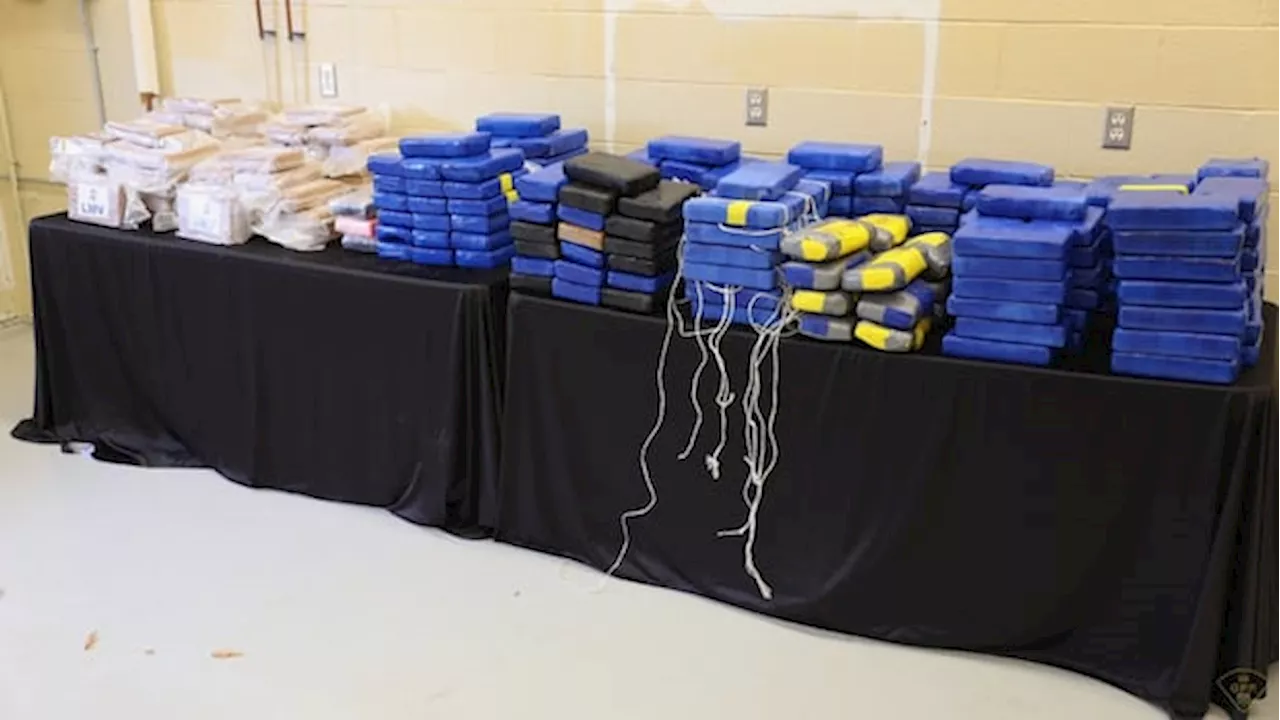 Police Seize Nearly 300 kg of Cocaine in GTA