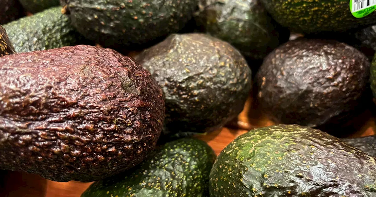 Trump Tariffs: Brace for Higher Prices on Everything from Avocados to Cars