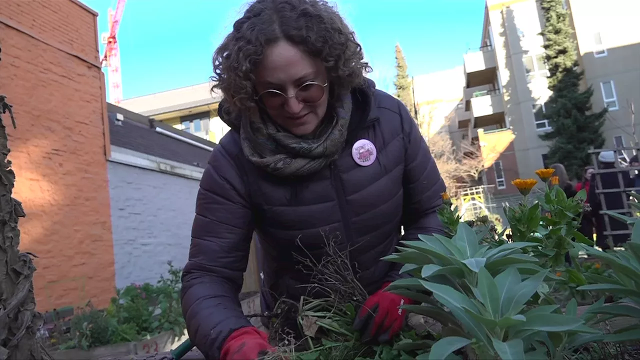 Community Gardens Blossom in City Centers