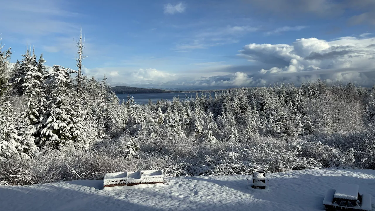 Vancouver Island Awakens to a Winter Wonderland