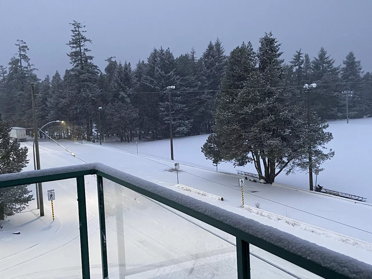 Vancouver Island Blanketed in Snow, Minimal Disruptions to Services