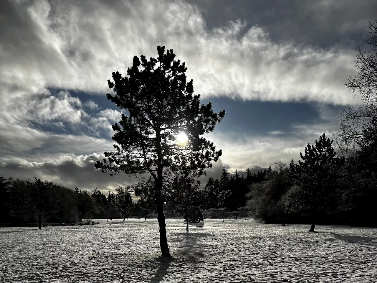 Winter storm watch issued for parts of Vancouver Island