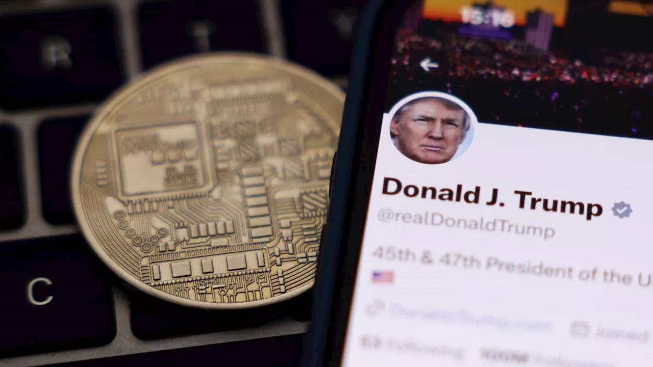 Trump coin leads tumble in meme cryptocurrencies as tariffs rock global markets