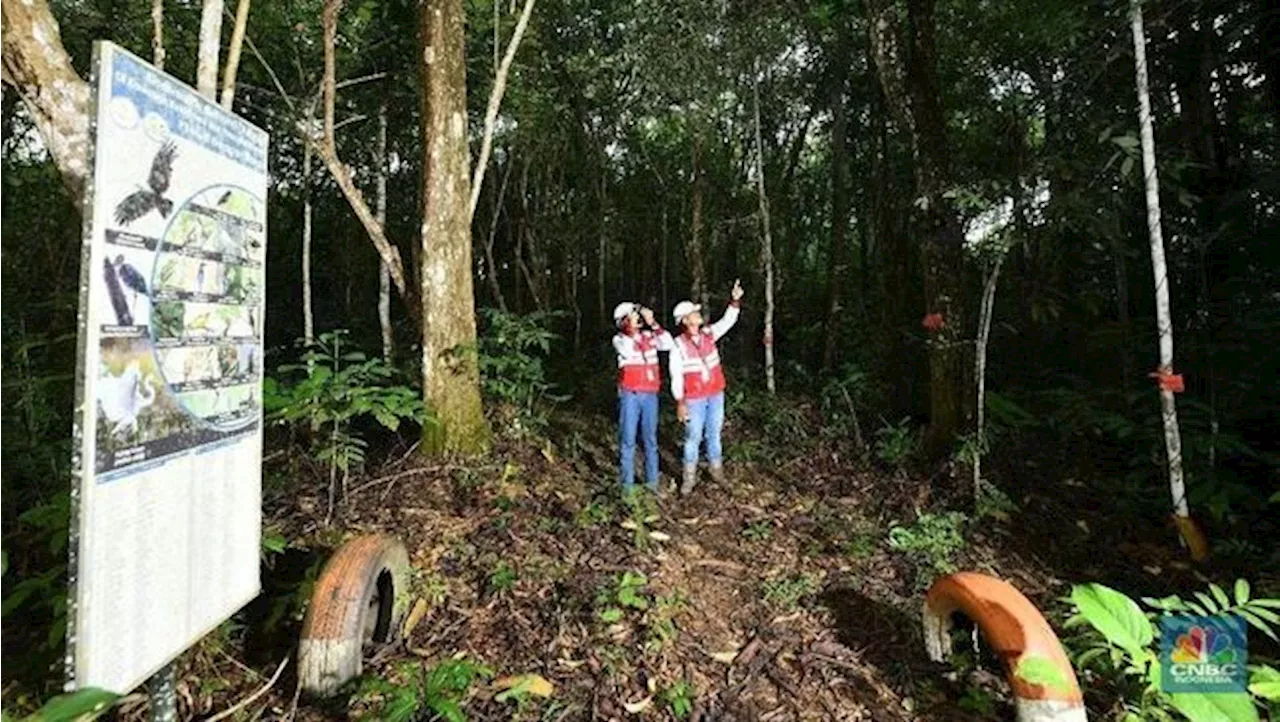 Bentuk & Komitmen MHU dalam Mendorong Keberlanjutan Lahan Pascatambang