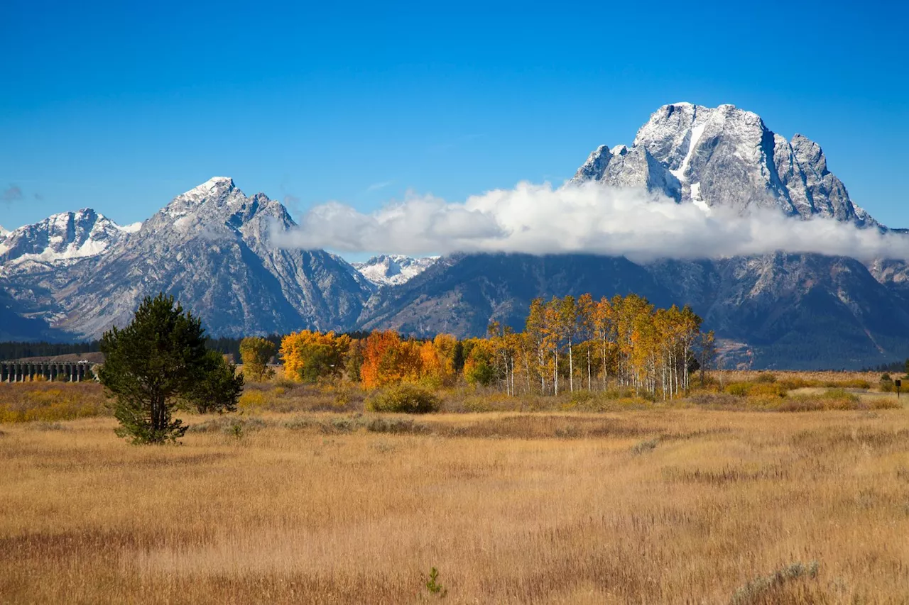 Cardano Founder Criticizes Wyoming's Stablecoin Initiative for Lack of Transparency and Fairness