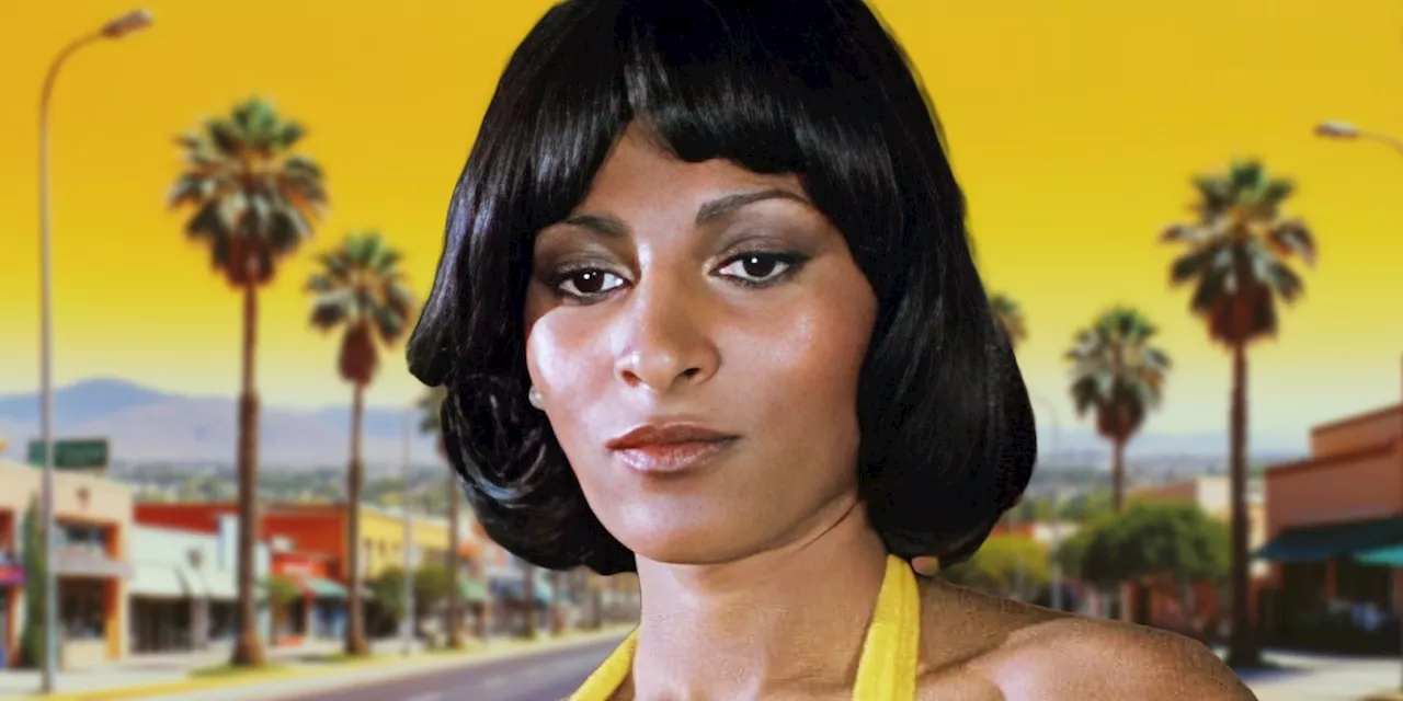 Foxy Brown: Pam Grier's Blaxploitation Legacy Transcends Genre