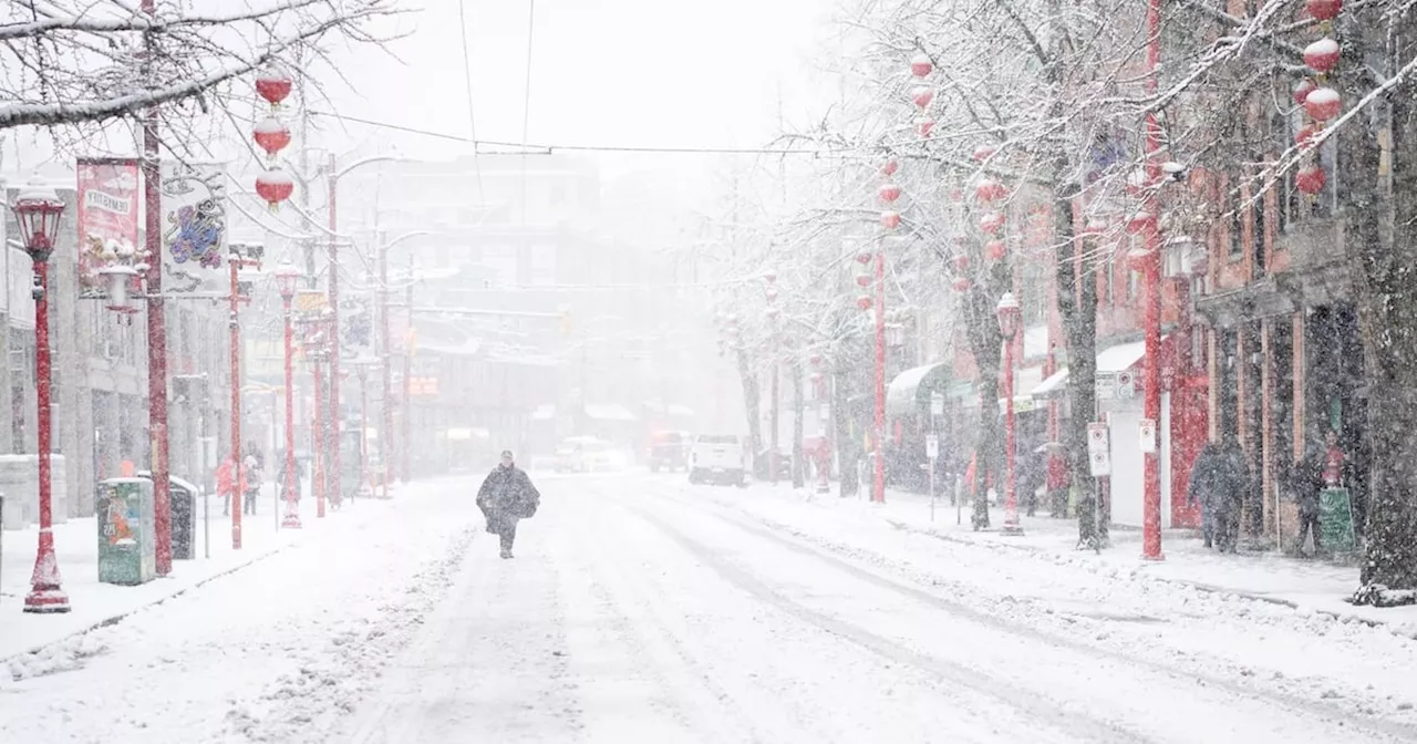 Wintry blast to continue after season's first big snowfall blankets Metro Vancouver