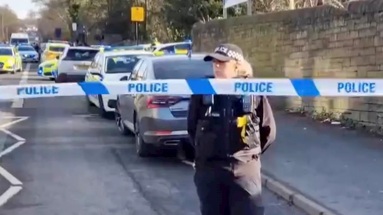 Teenager, 15, dies after being stabbed at secondary school in Sheffield