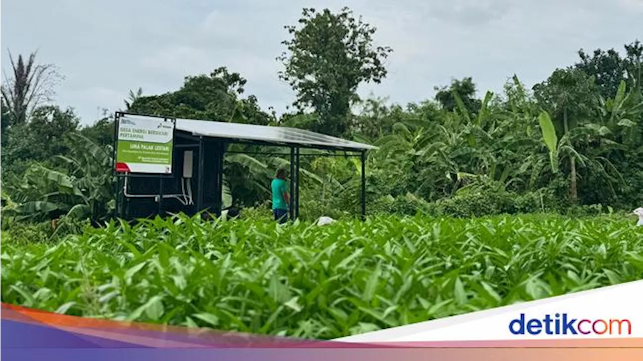 Dukung Swasembada Energi, Pertamina Bangun 159 Desa Energi Berdikari