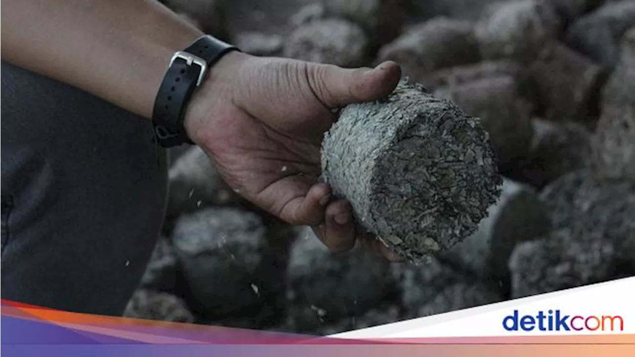 PLN Indonesia Power Tekan Emisi Karbon dengan Program Cofiring