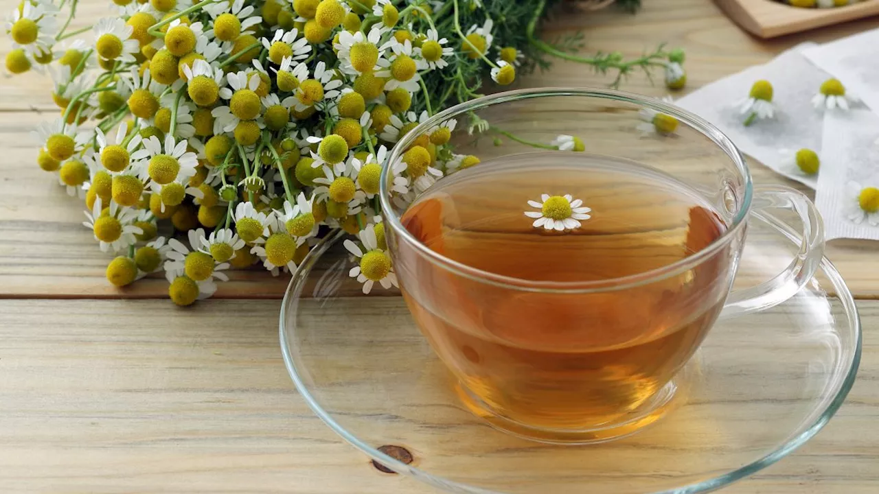 Rappel conso : gare à ces infusions à la camomille contaminées à l’oxyde d’éthylène