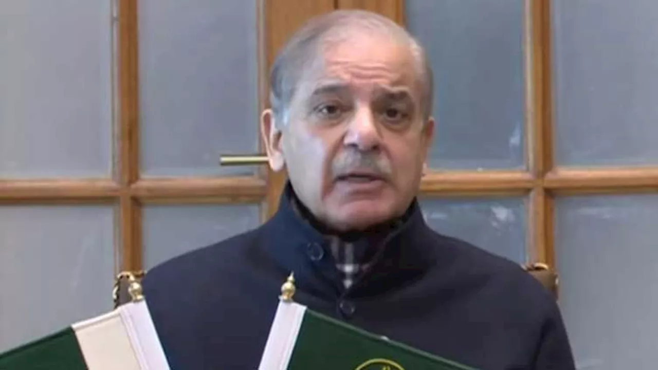 PM Shehbaz acknowledges resurgence of terrorism in country