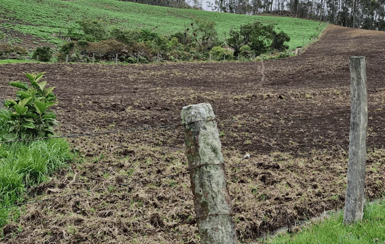Suspensión de Actividades Agrícolas en Área Protegida del Dintel