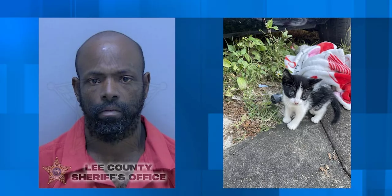 Man Arrested for Stealing Woman's Bag Containing One-Month-Old Kitten