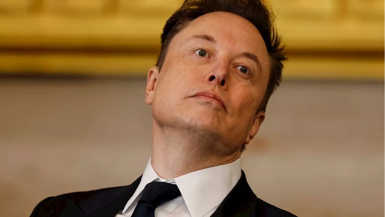 Musk's Access to Treasury Payment System Sparks Outrage and Concerns