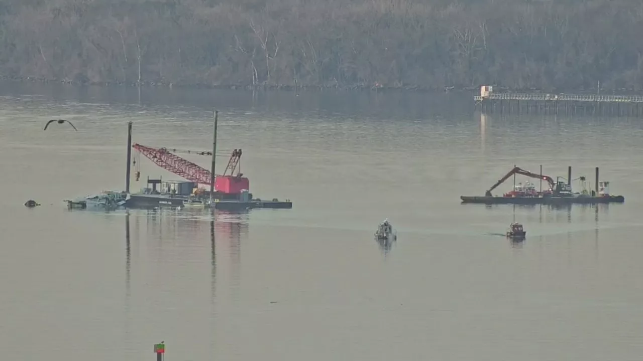 Potomac River Plane Crash: Divers Continue Search for Missing Remains