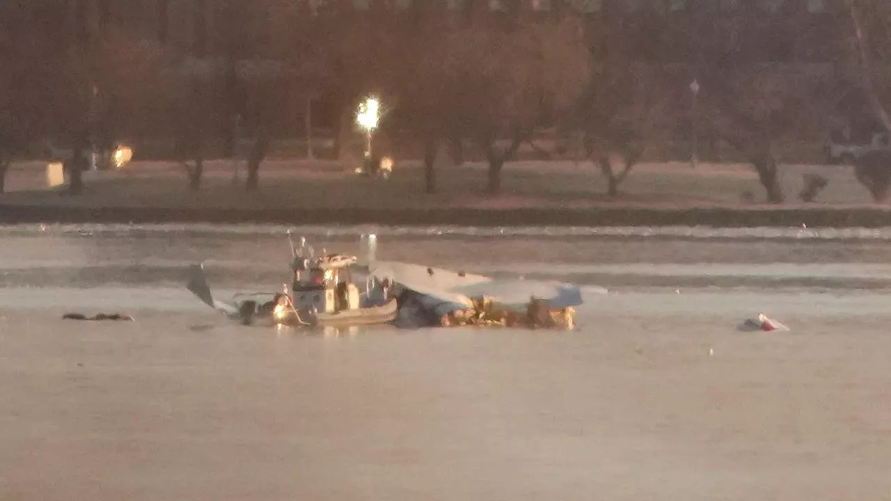 Potomac River Plane Crash: Recovery Efforts Continue, 55 Victims Identified