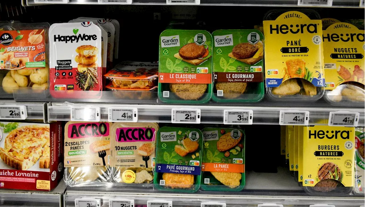 Réduire la Consommation de Viande en France : Les Alternatives Végétales et l'Impact sur l'Alimentation