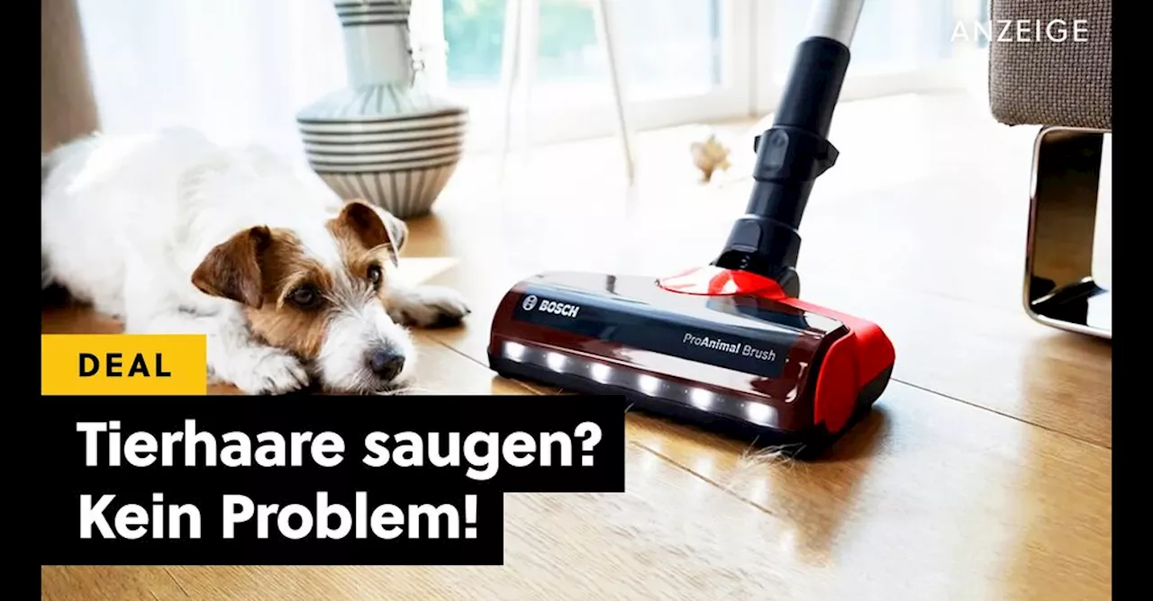 Die Dyson-Alternative aus Deutschland: Dieser schwäbische Akkusauger ist der Bosch unter den Staubsaugern!