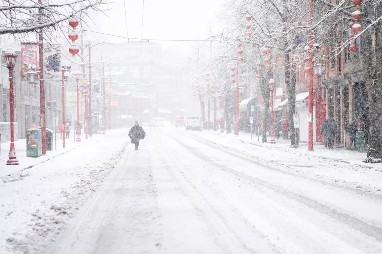 Metro Vancouver Braces for Up to 25cm of Snow, Ice Concerns Amidst First Winter Snowfall