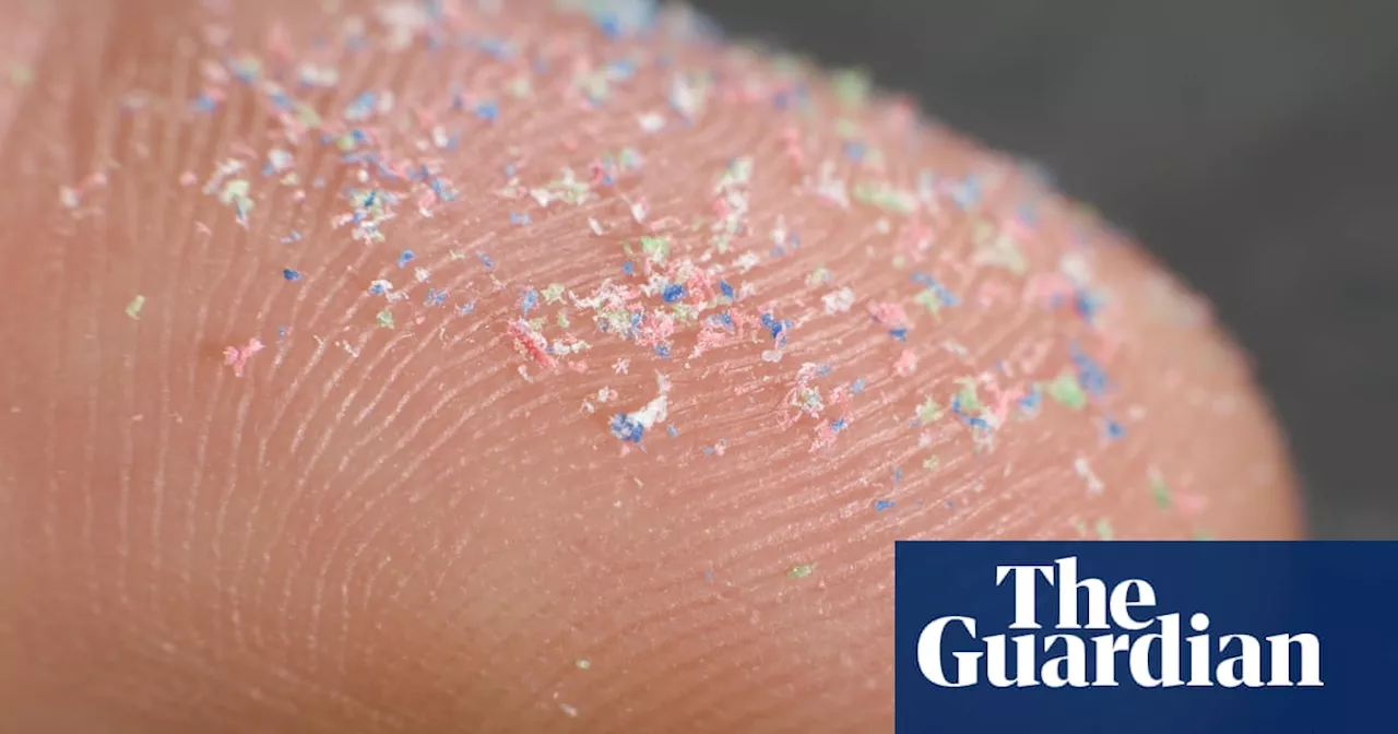 Microplastics Found in Human Brains, Raise Concerns About Neurological Impact