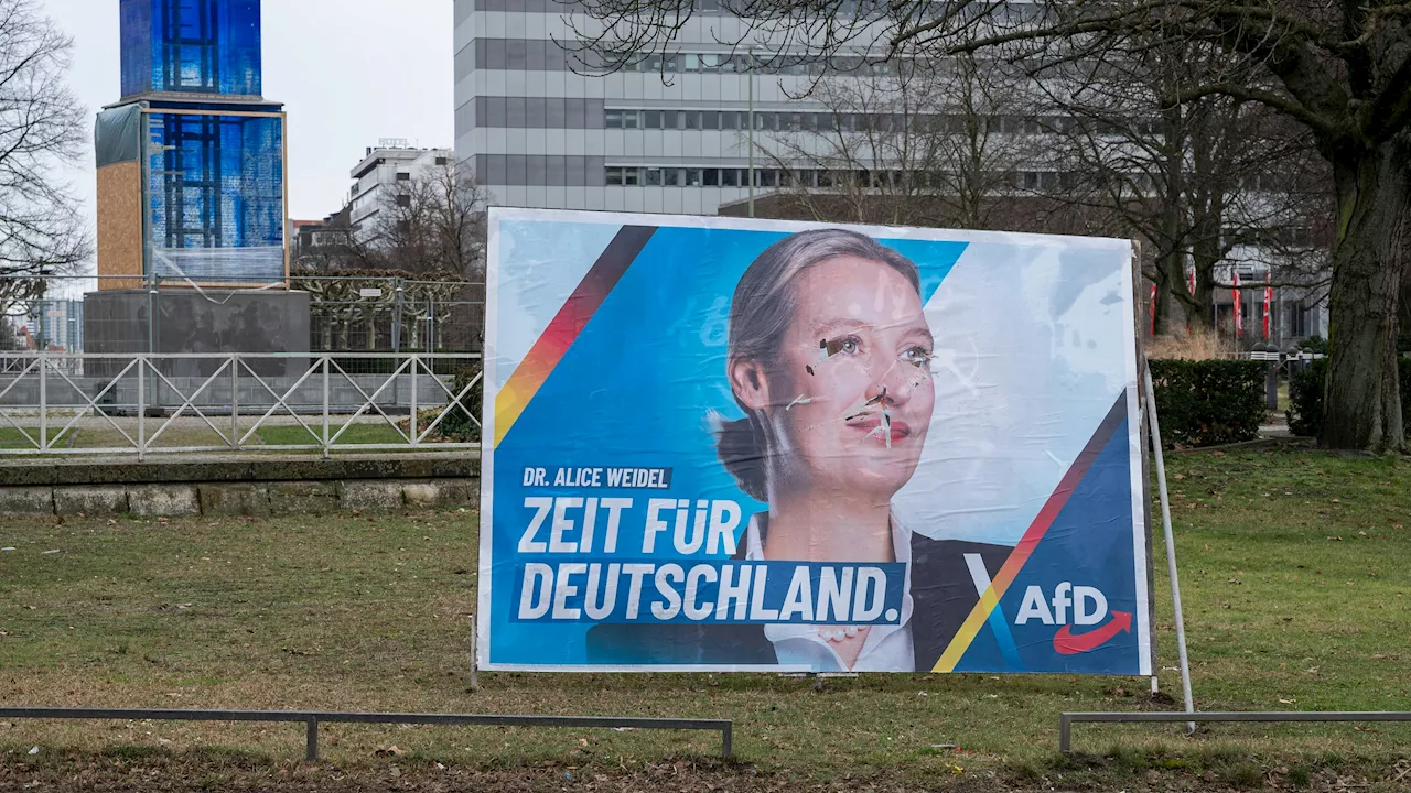  Ex-FPÖ-Funktionär spendet AfD Millionen-Kampagne