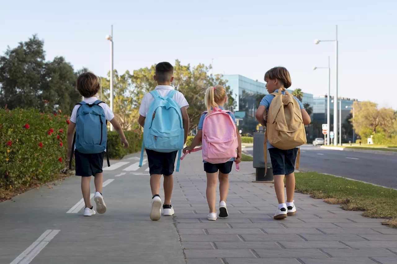 Guia da volta às aulas: mochila ideal, repelente contra dengue e lanches saudáveis