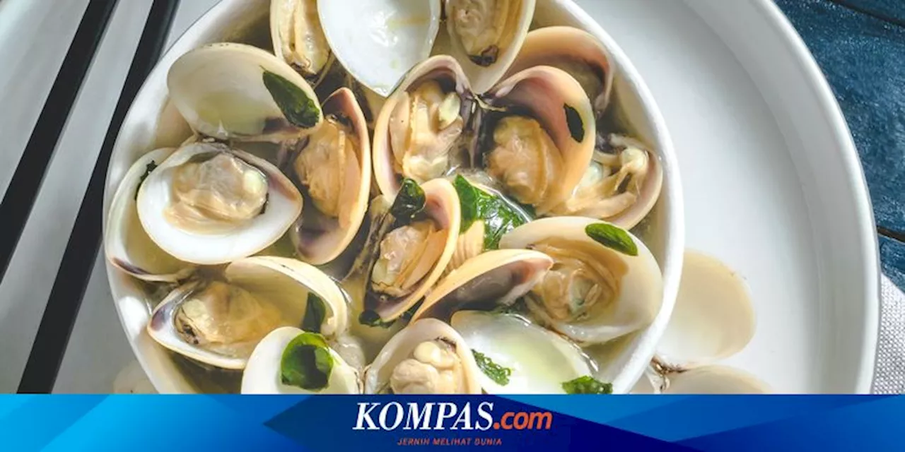 Konsumsi Kerang Selama Kehamilan Dikaitkan dengan Autisme Anak