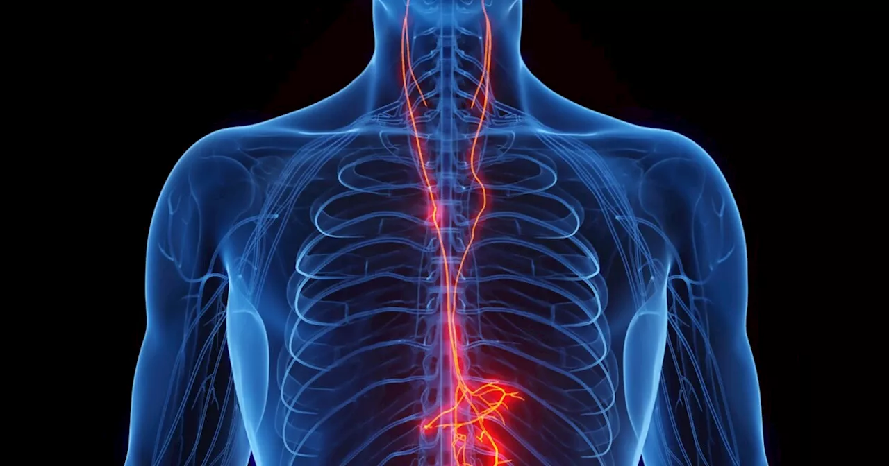 Vagus Nerve Stimulation: A Potential Breakthrough for Autoimmune Diseases