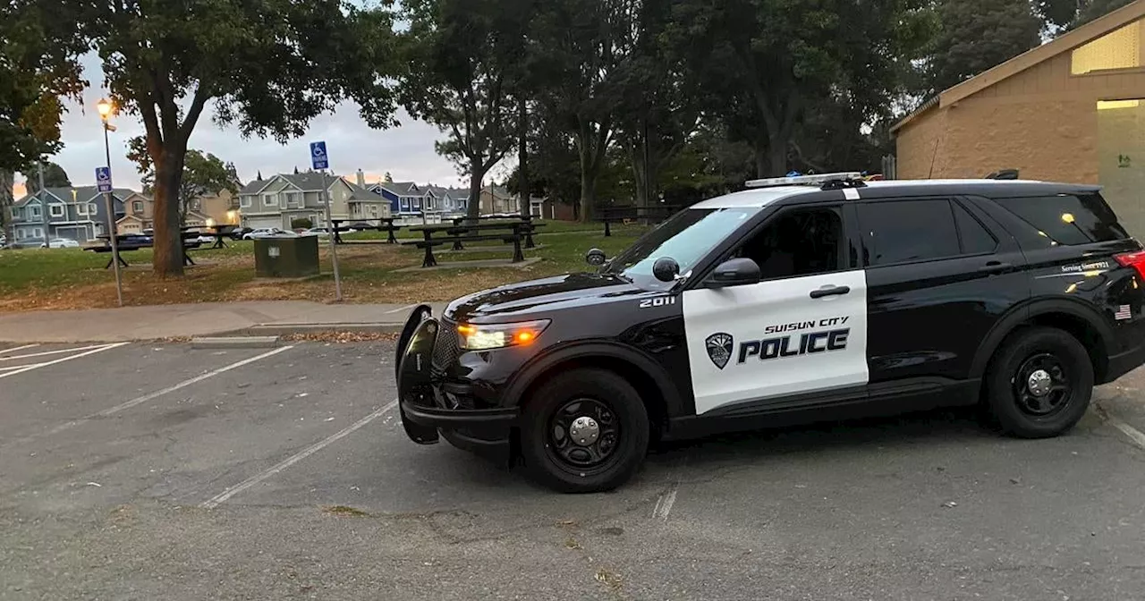 Off-duty Marin County deputy shoots 2 dogs after multiple people attacked in Suisun City