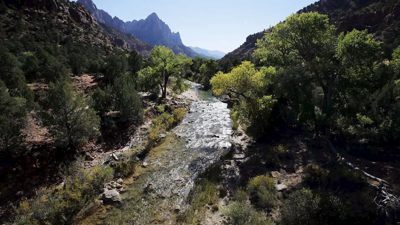 This Utah park reclaimed the top spot as national park visitation, rallied in 2024