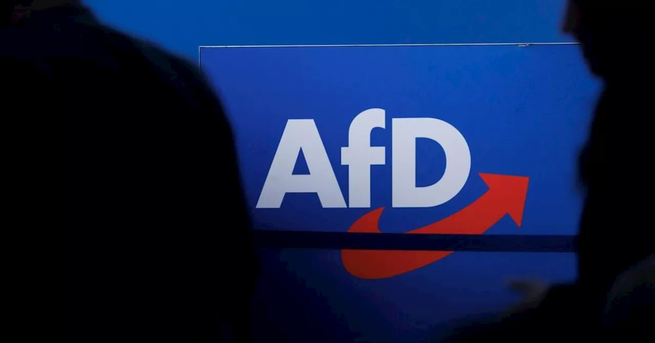 Ex-FPÖ-Landesgeschäftsführer spendet 2,3 Millionen Euro an AfD