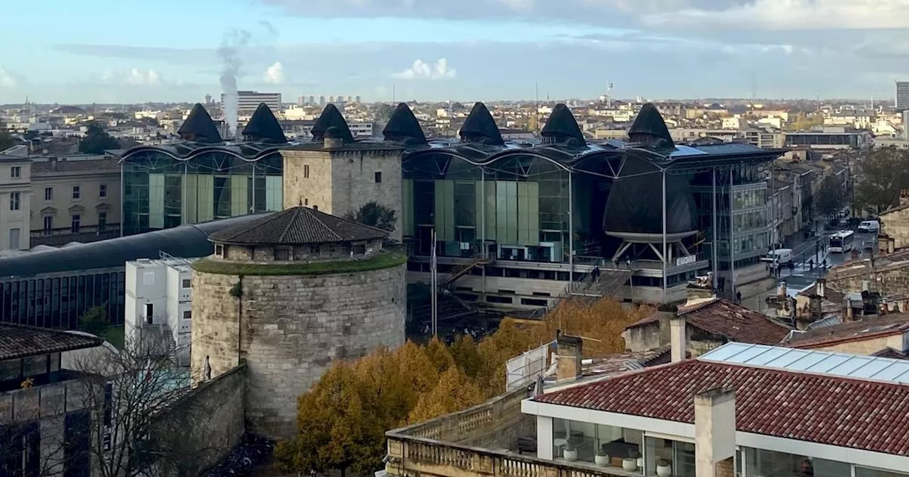 Le Barreau de Bordeaux créé une ligne téléphonique d’urgence pour les victimes ouverte 24 heures/24