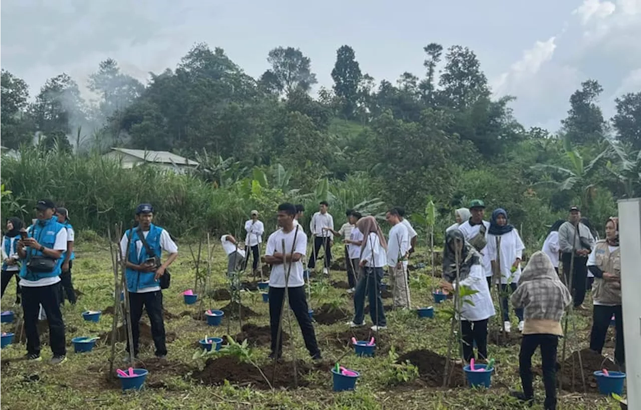 PLN Indonesia Power Tanam 500 Pohon di Hulu Sungai Citarum