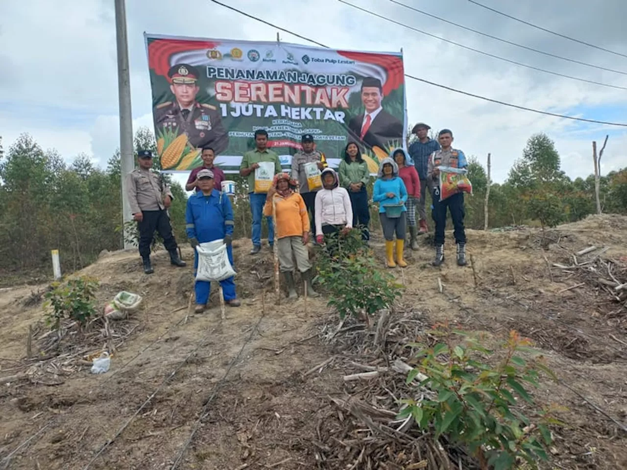 PT. Toba Pulo Lestari Tbk Bantu Bibit Jagung dan Kompos untuk Masyarakat