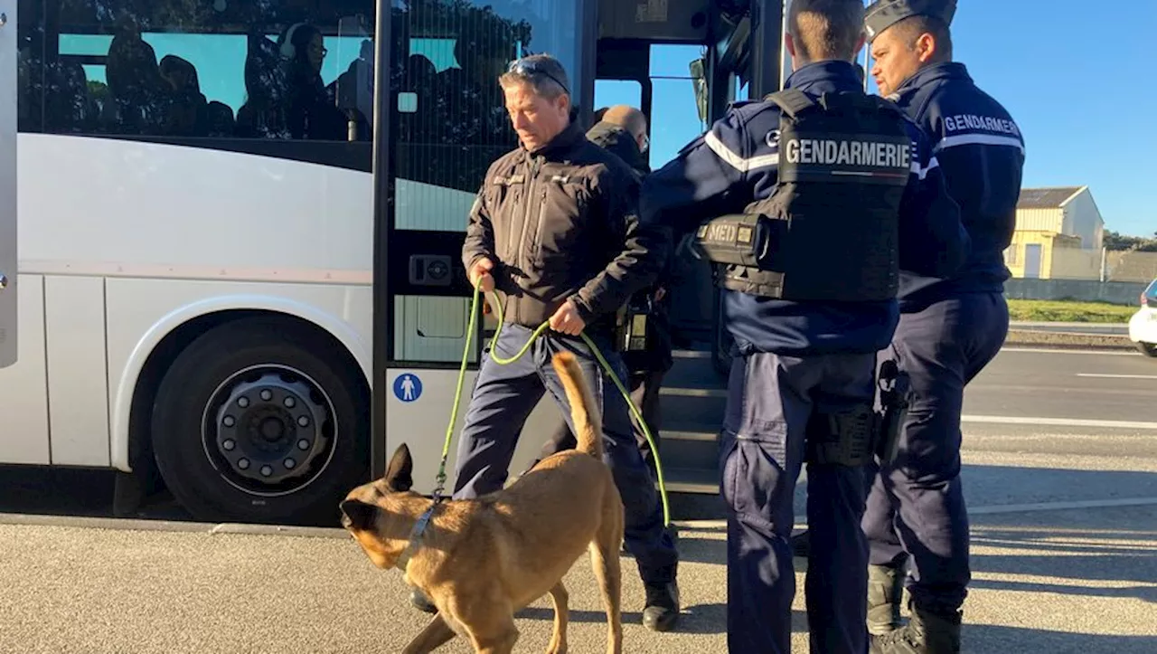 Contrôle routier de masse : gendarmerie dans les transports scolaires