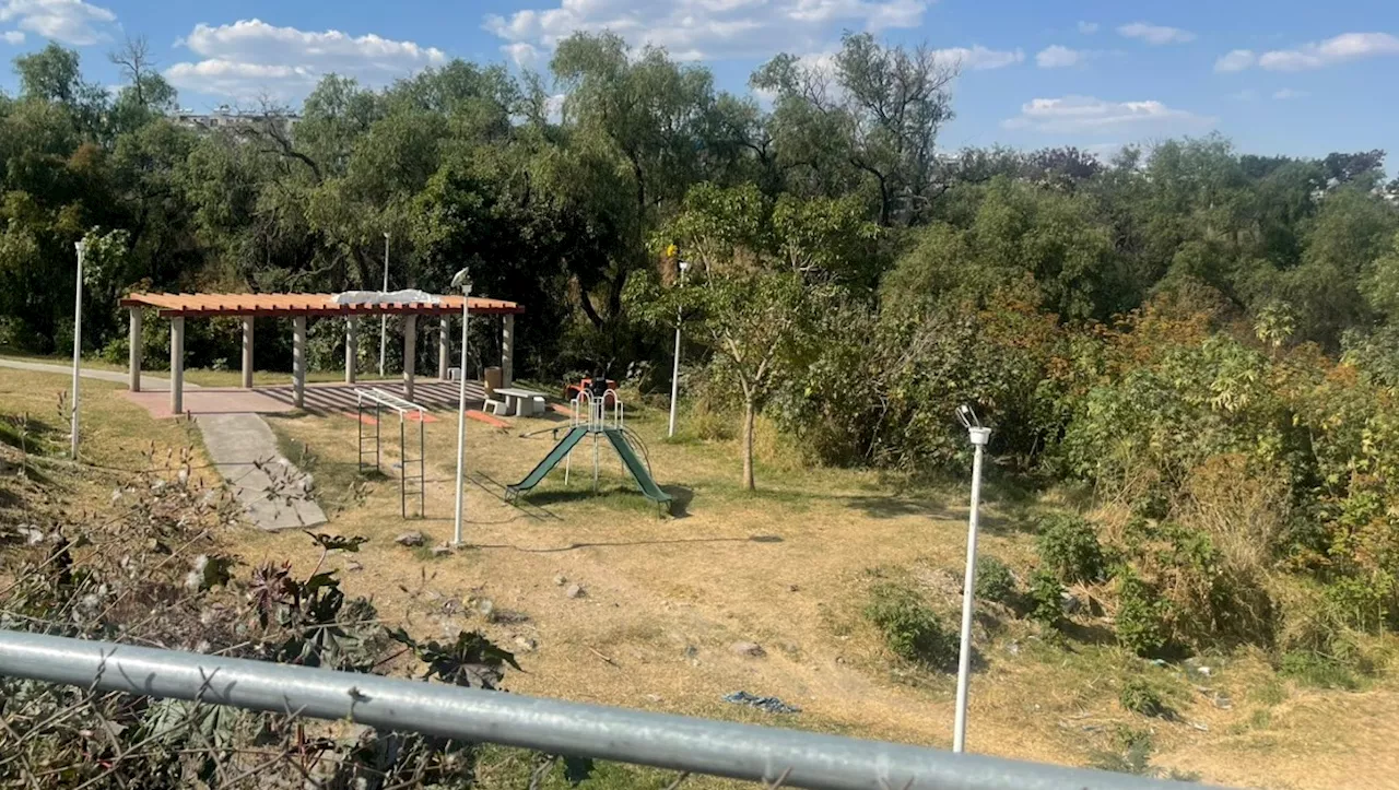 Restos óseos con tejido encontrado en Colonia Los Abedules, Jalisco