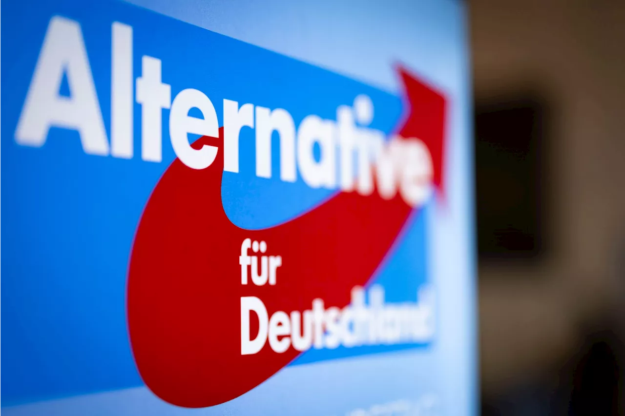 2,3 Millionen Euro: AfD meldet weitere Großspende