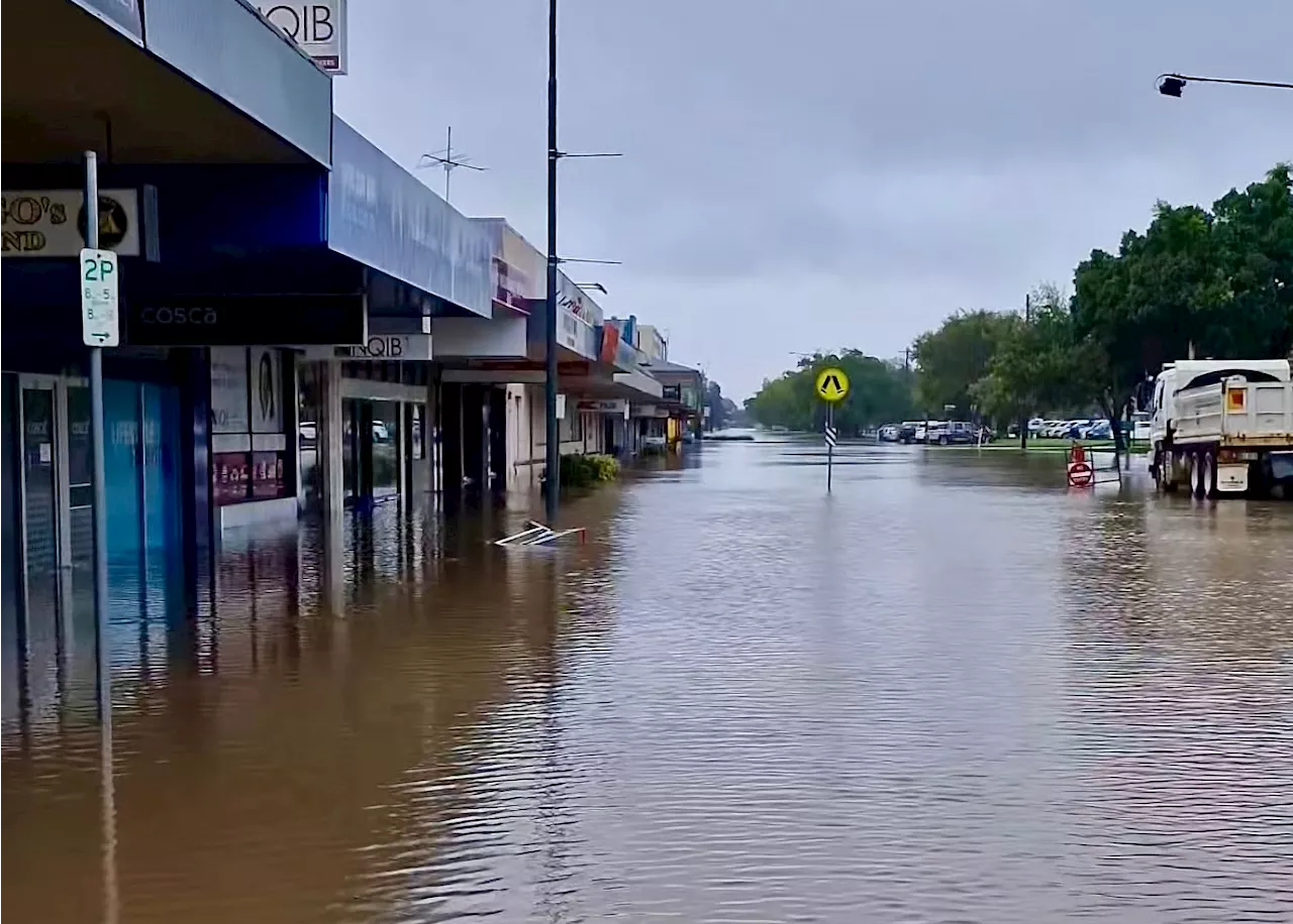 Rekord-Regen in Australien: Hochwasser lockt Krokodile an